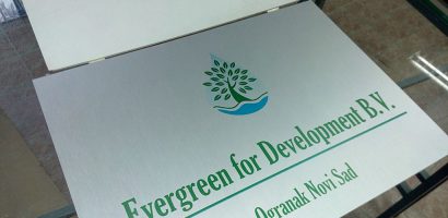 evergreen_1